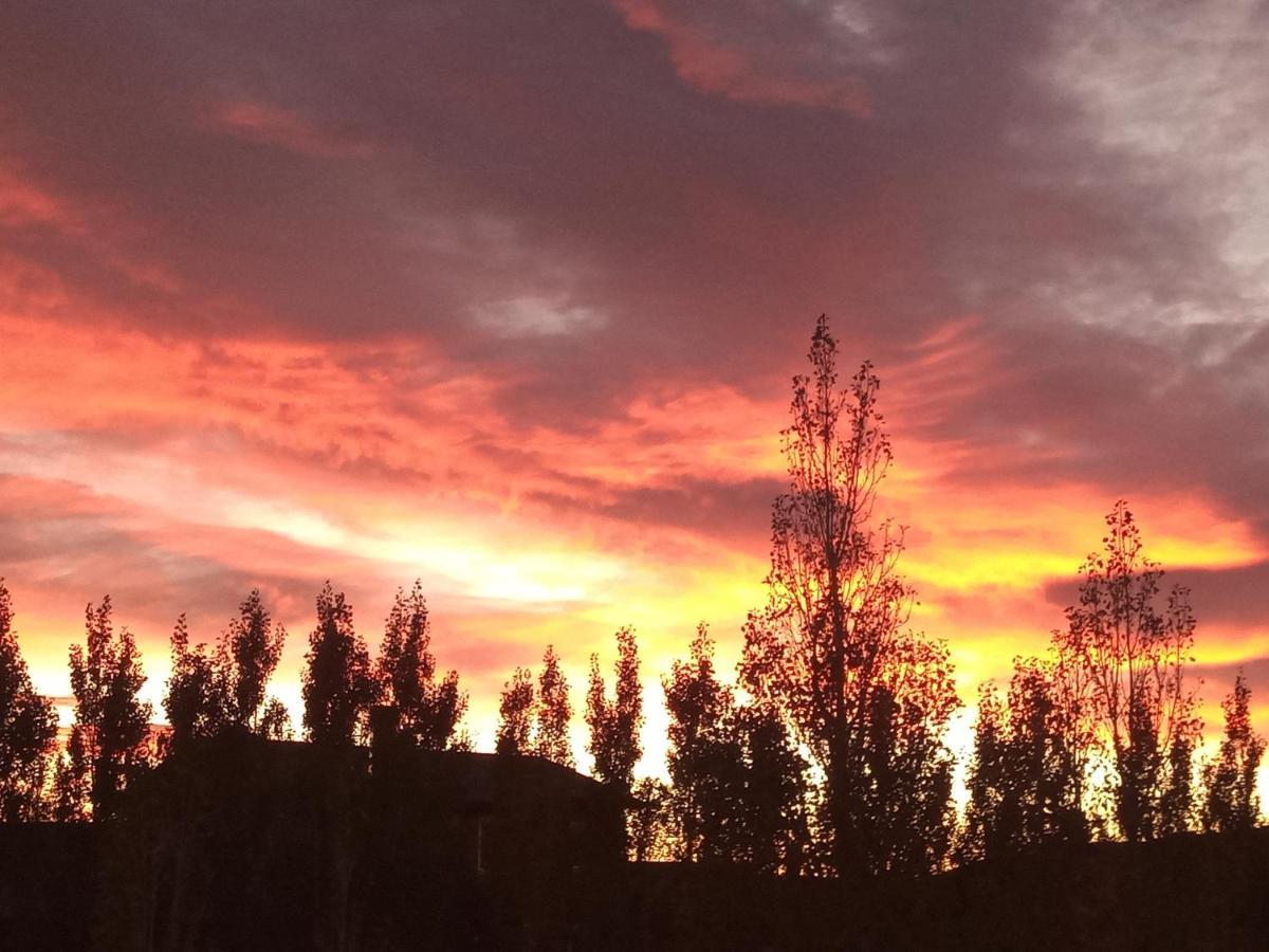 Cielos Patagonicos Aparts Ел Калафате Екстериор снимка